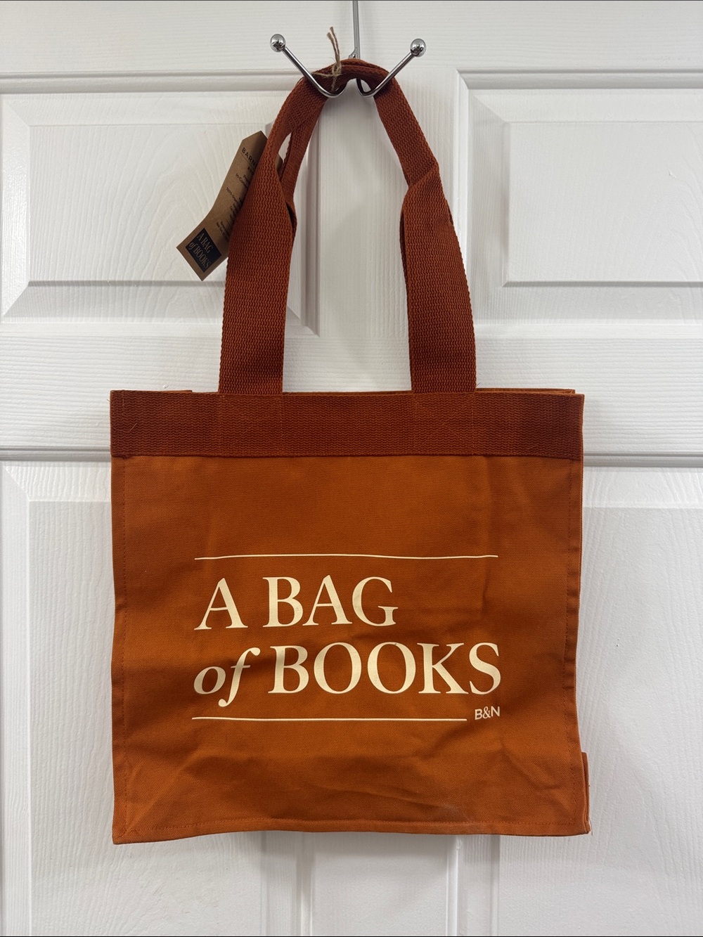 Barnes & Noble Rust Canvas Tote - A Bag of Books